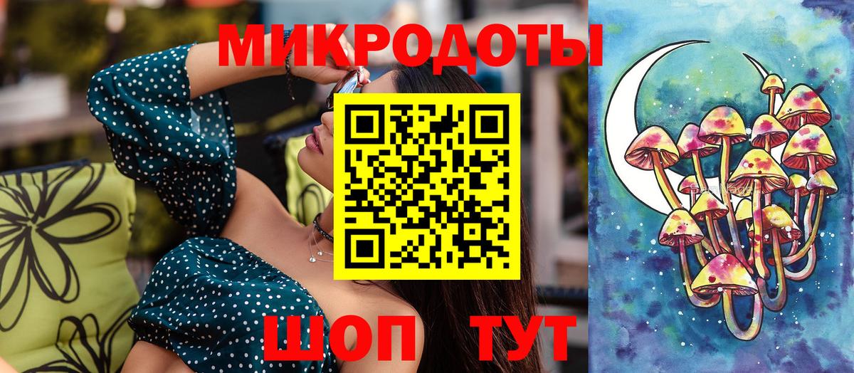 Галлюциногенные грибы Psilocybine cubensis Стрежевой