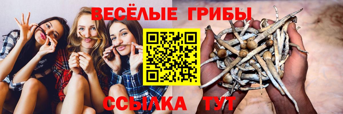Галлюциногенные грибы ЛСД  Вход с VPN  Стрежевой  Галлюциногенные грибы Cubensis 